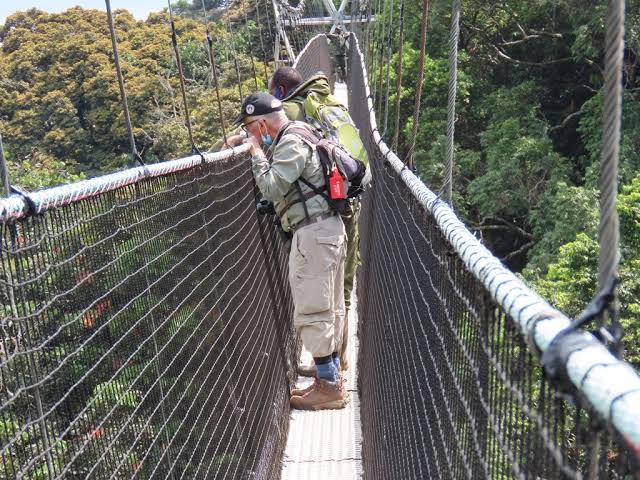 Nyungwe Forest National Park