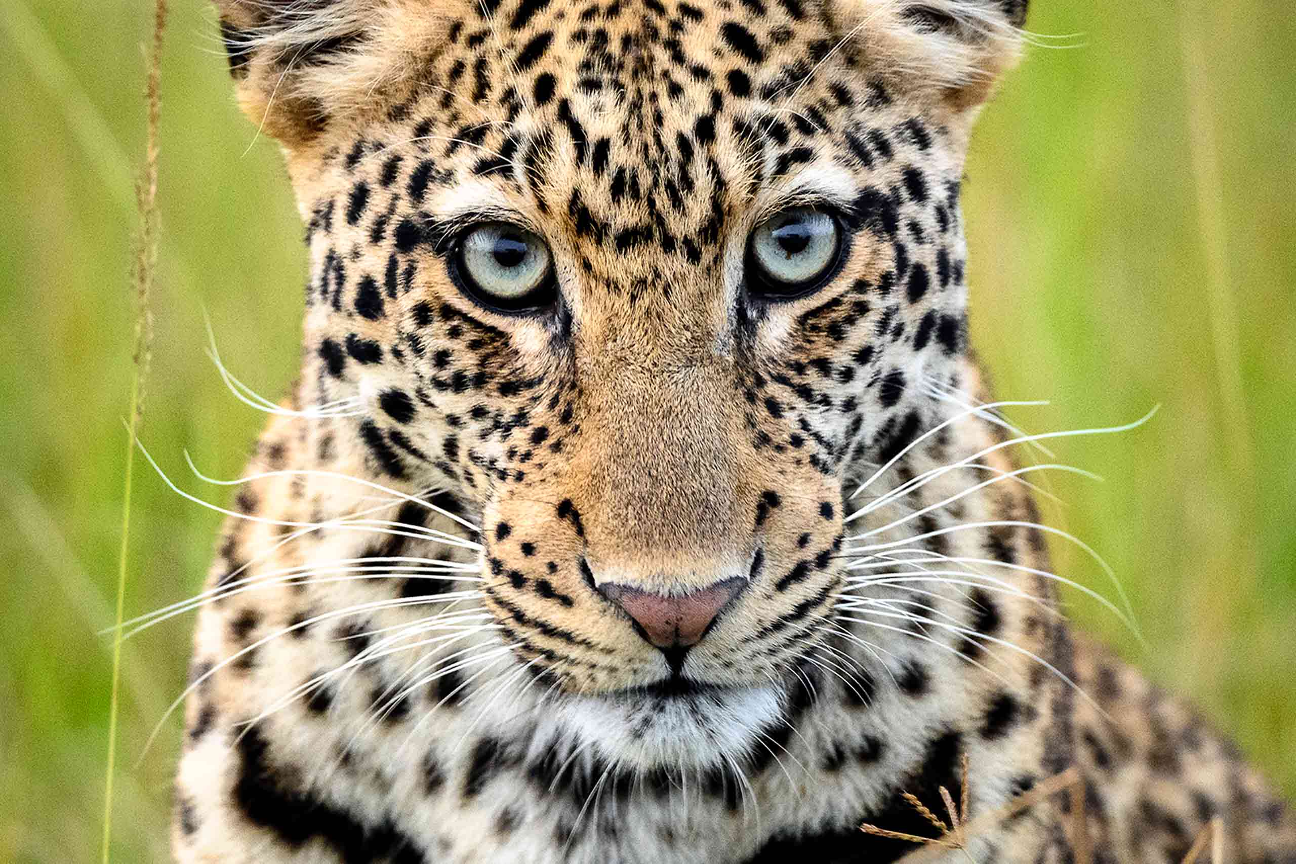 Akagera National Park