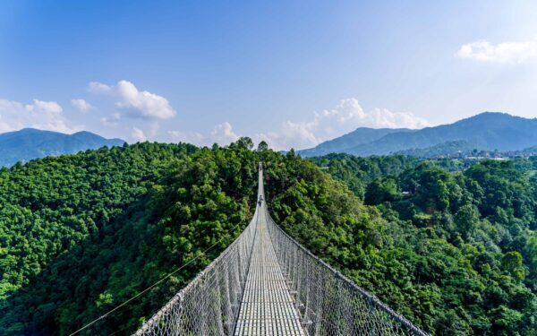 4 Days Nyungwe and Akagera Tour