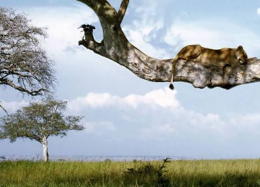Queen Elizabeth National Park